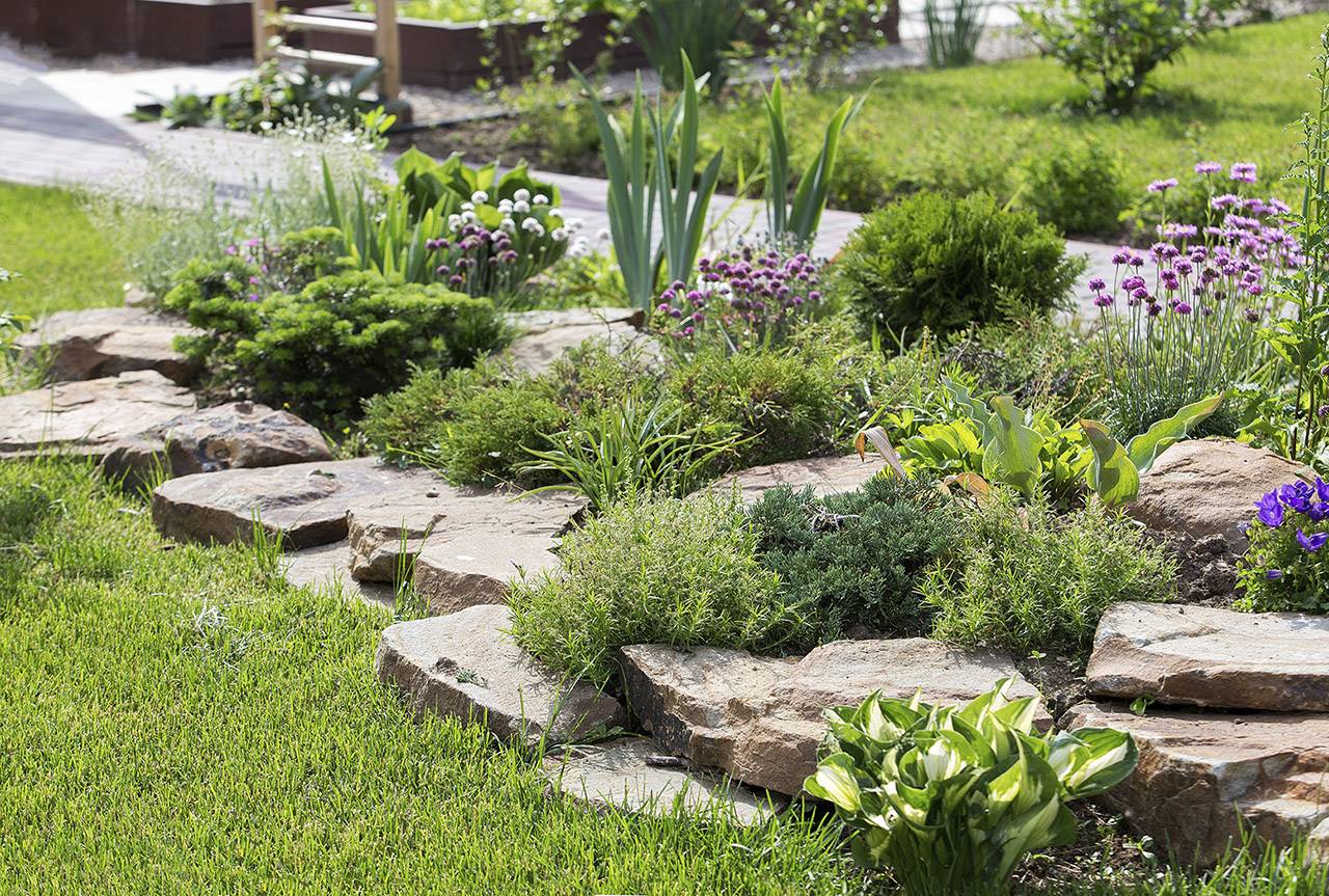 Проект Крекшино