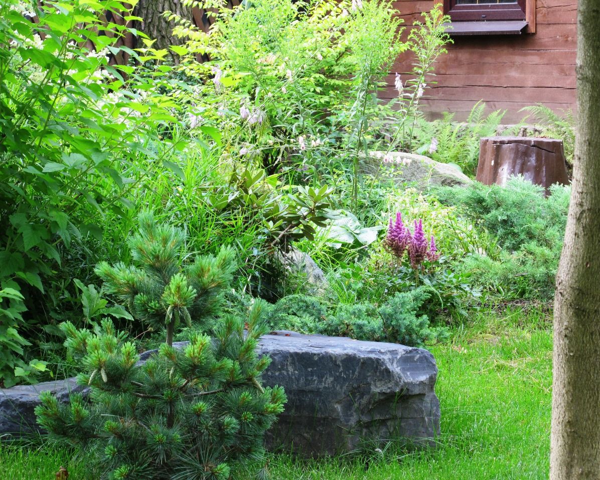 Проект Переделкино